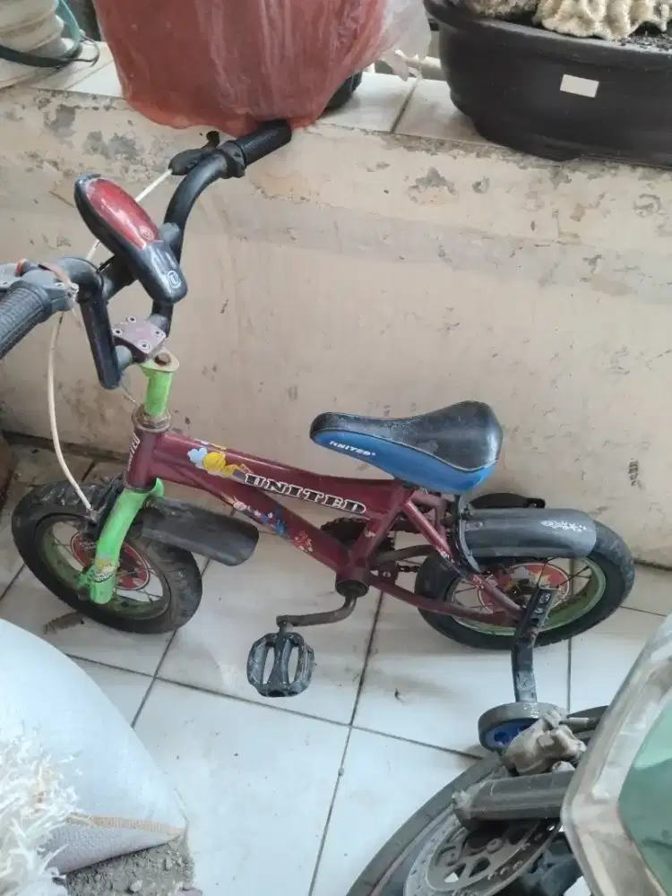 Sepeda anak roda 4