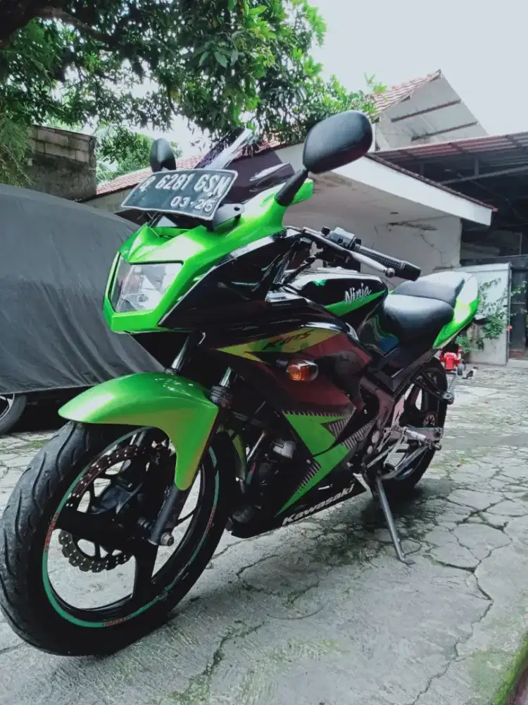 Ninja RR New 2015