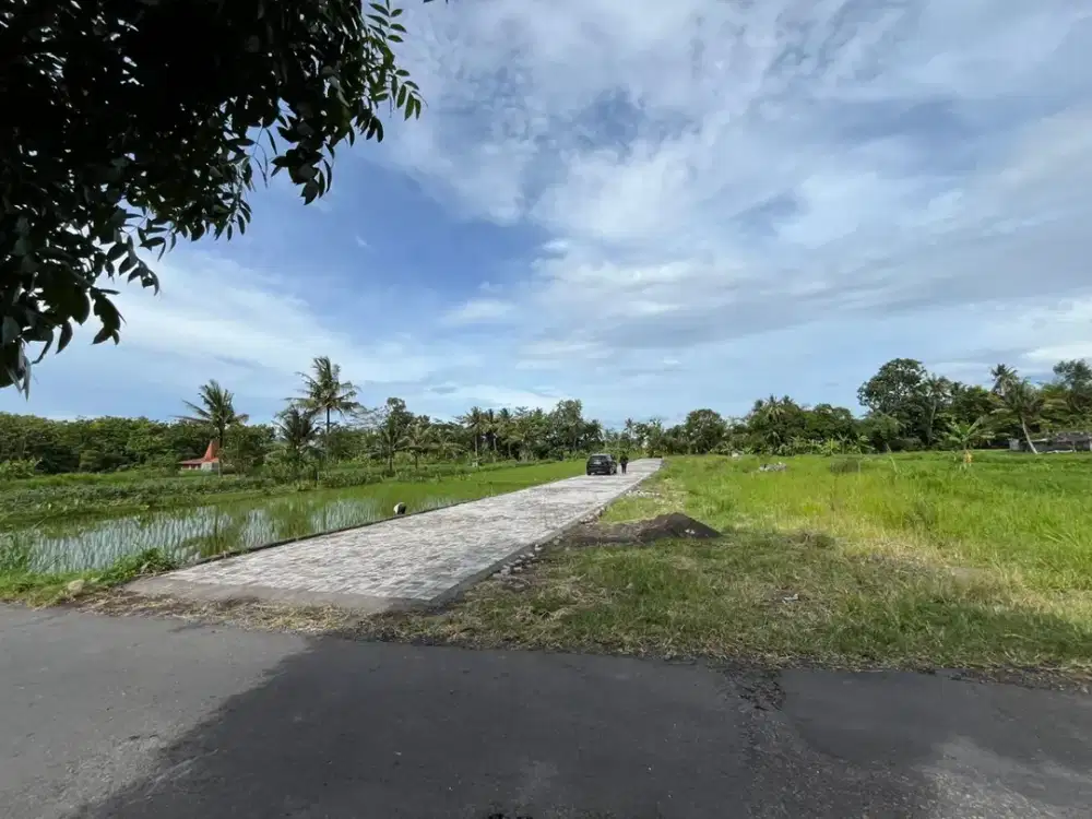 Tanah Dijual Yogyakarta Sleman Dekat PonPes Pandanaran Untuk Rumah