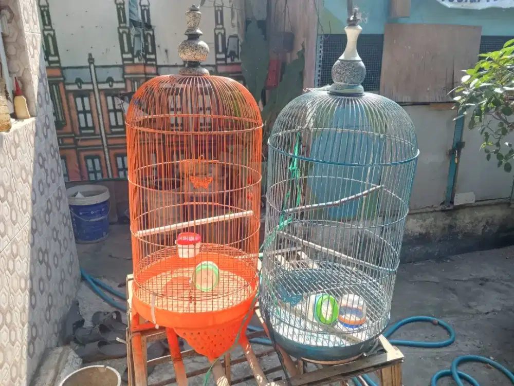 Sangkar 2 pcs 140rb