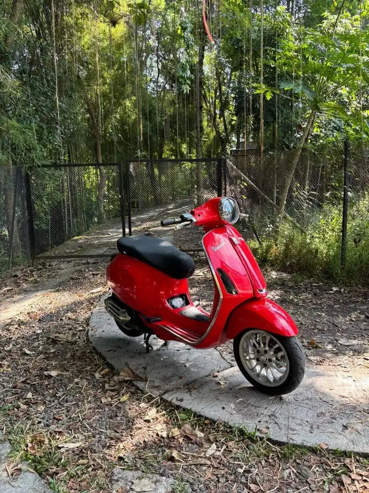 Vespa primavera 2016