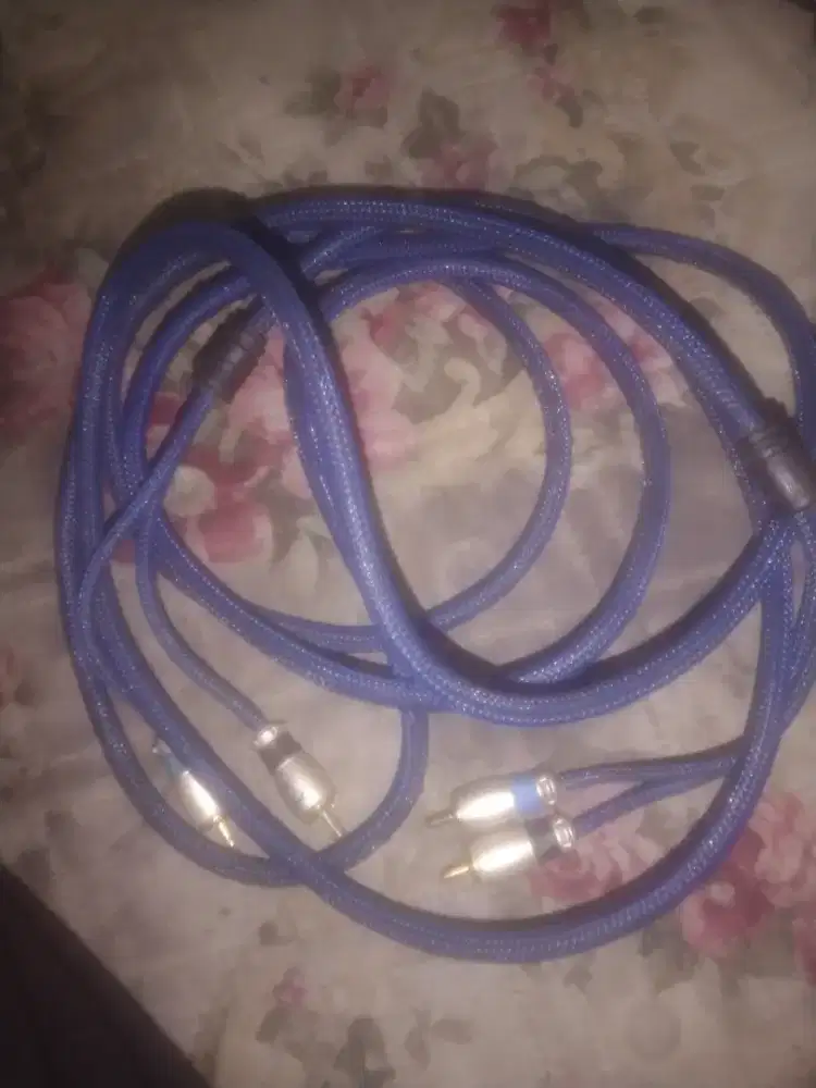 Kabel rca Vox blue series