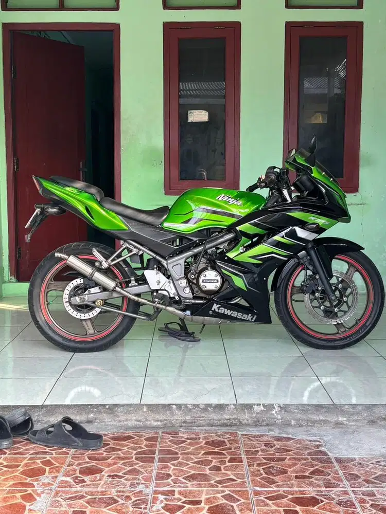Kawasaki Ninja RR new 2015