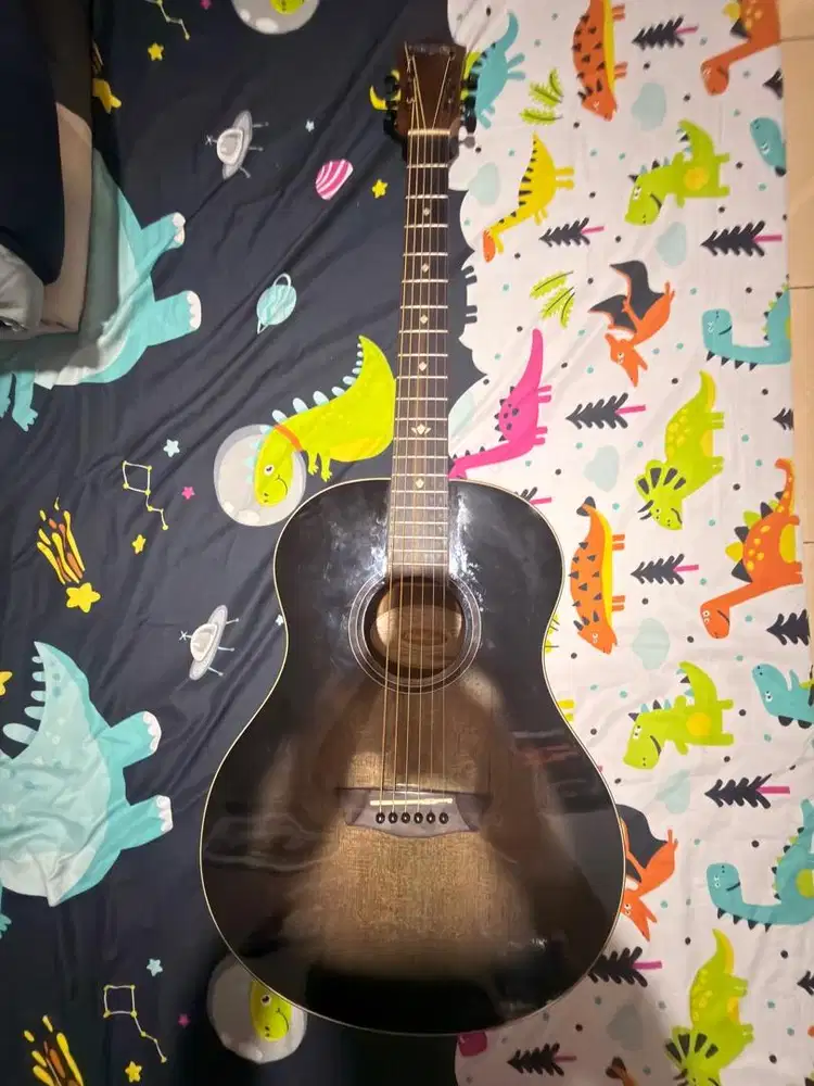 PreLove Gitar Akustik Washburn BTS9CH-D