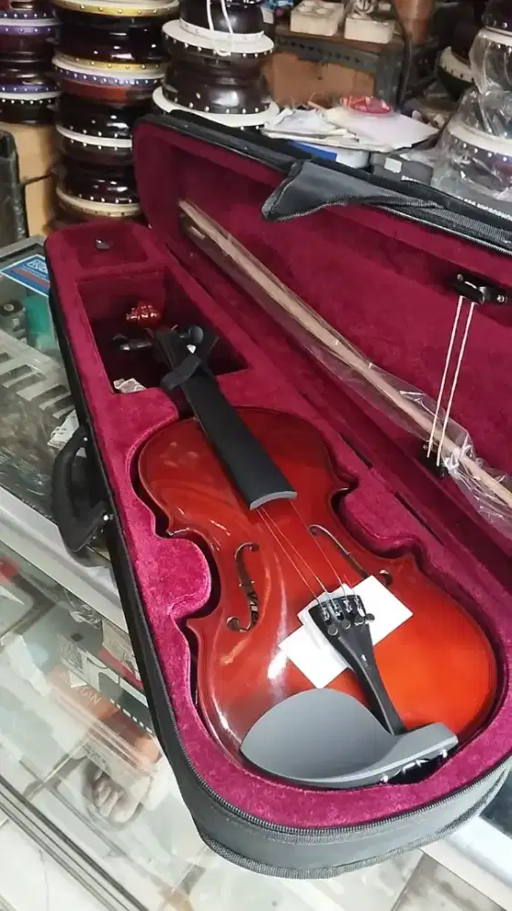Biola viena 4/4