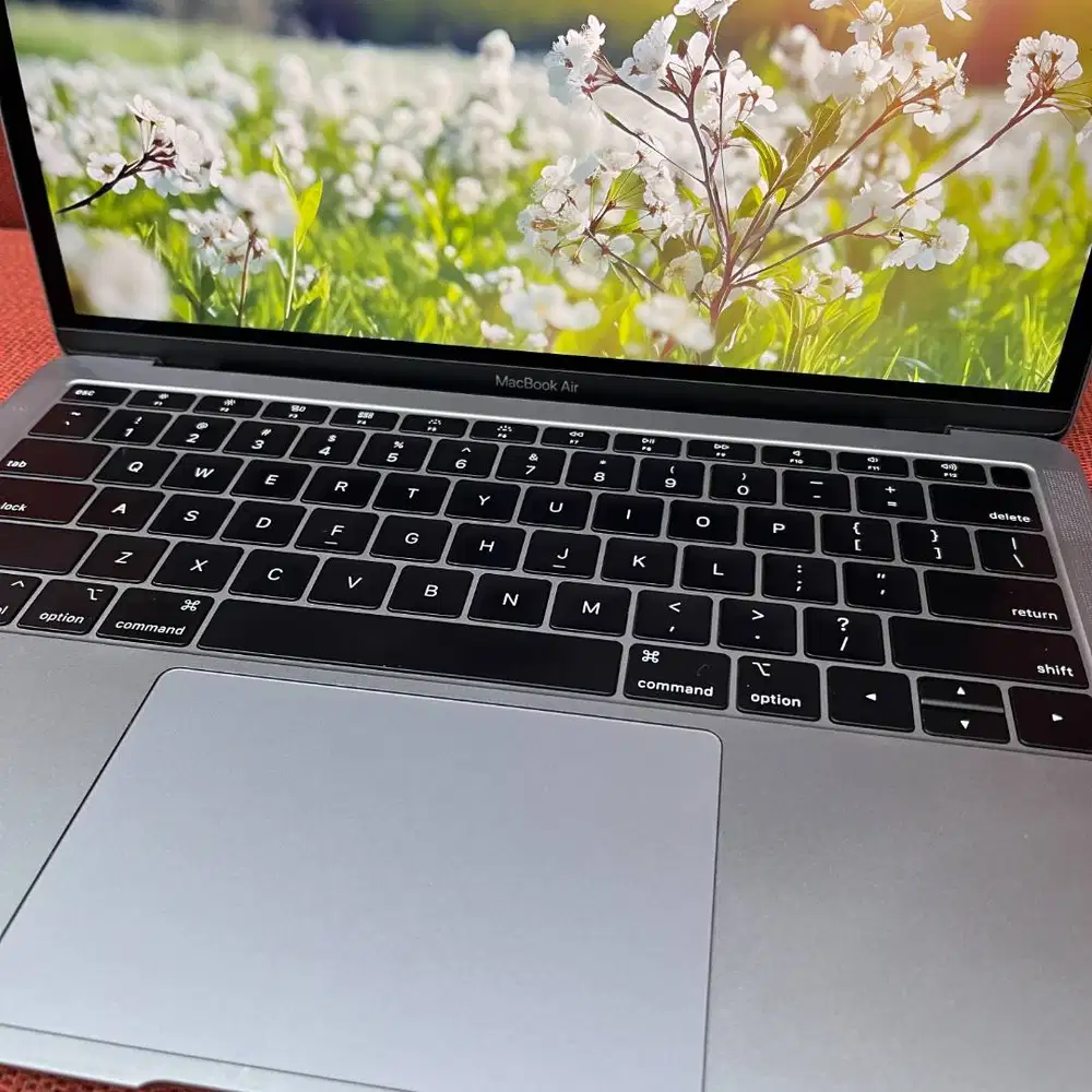 MacBook Air Retina 13 inch 2019 RAM 8GB SSD 256GB