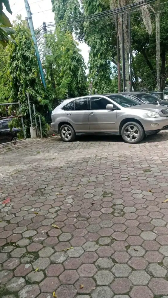Harrier L premium 2008