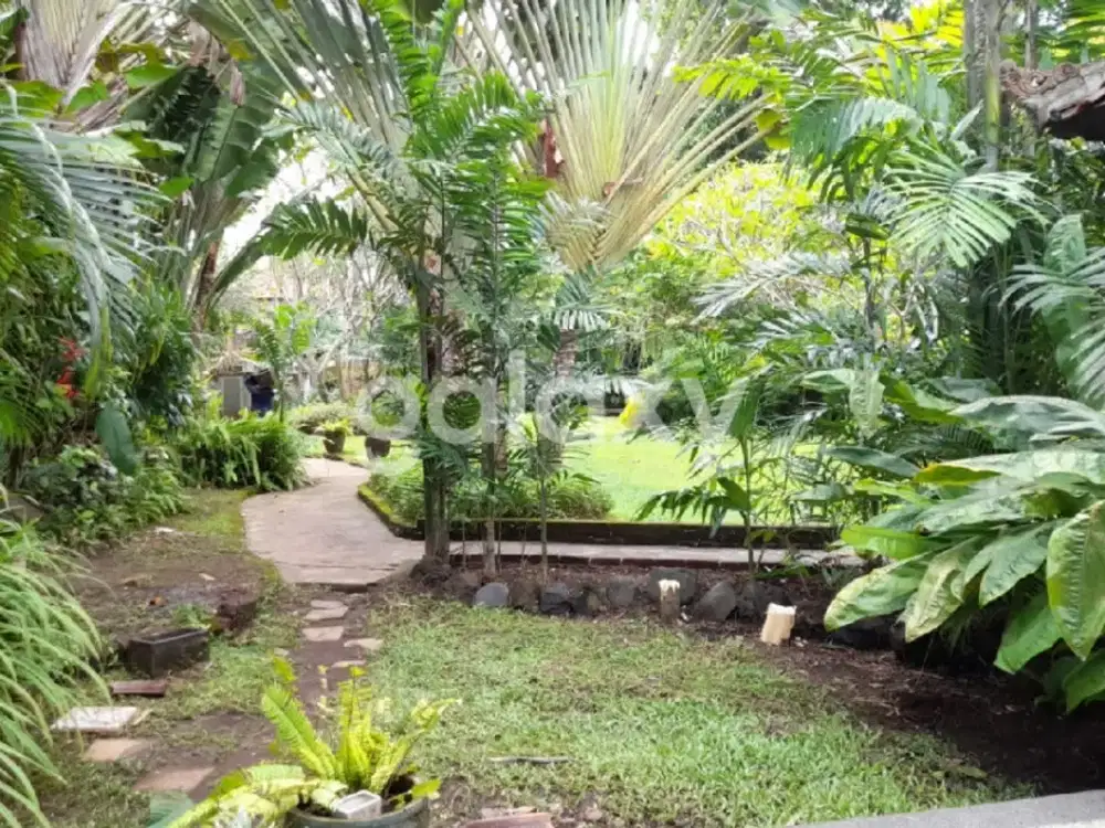 DIJUAL TANAH + VILLA KUBU MANYAR CANGGU BADUNG, BALI - Thumbnail 2