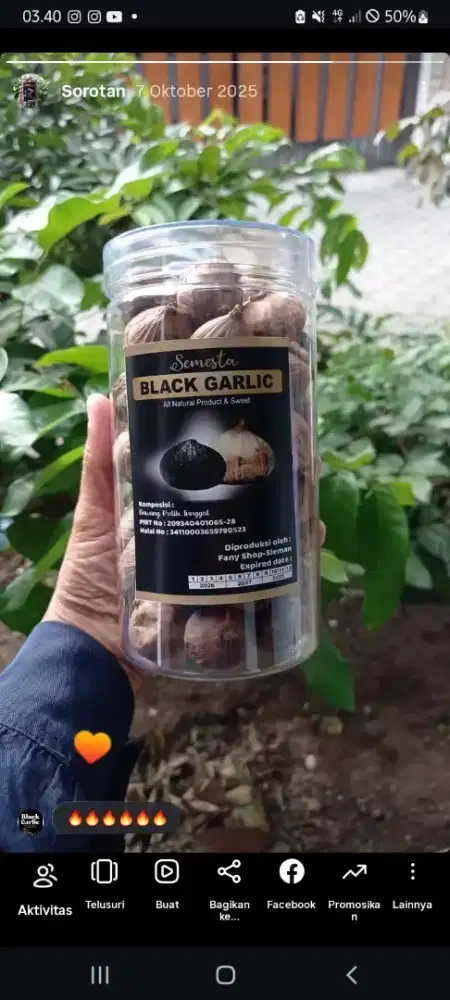 JUAL BLACK GARLIC - HOME MADE