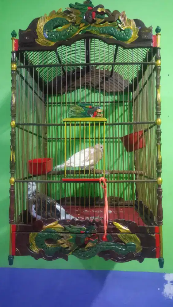 Di jual kandang burung jati buatan jepara