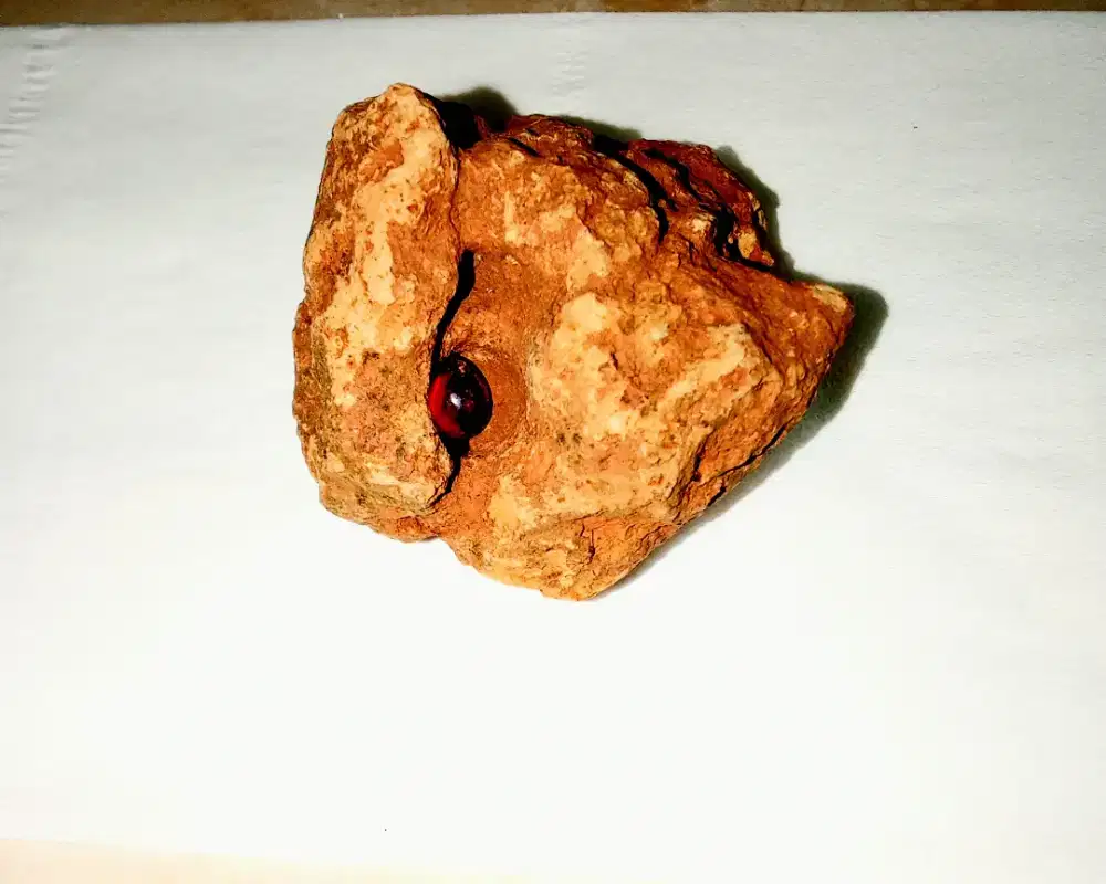 Karang nunggal merah
