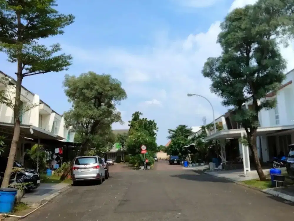 JUAL CEPAT RUMAH DI GADING SERPONG - CLUSTER OLEASTER