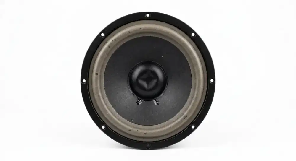 Bahan Speaker 10 inch BM Serie 10