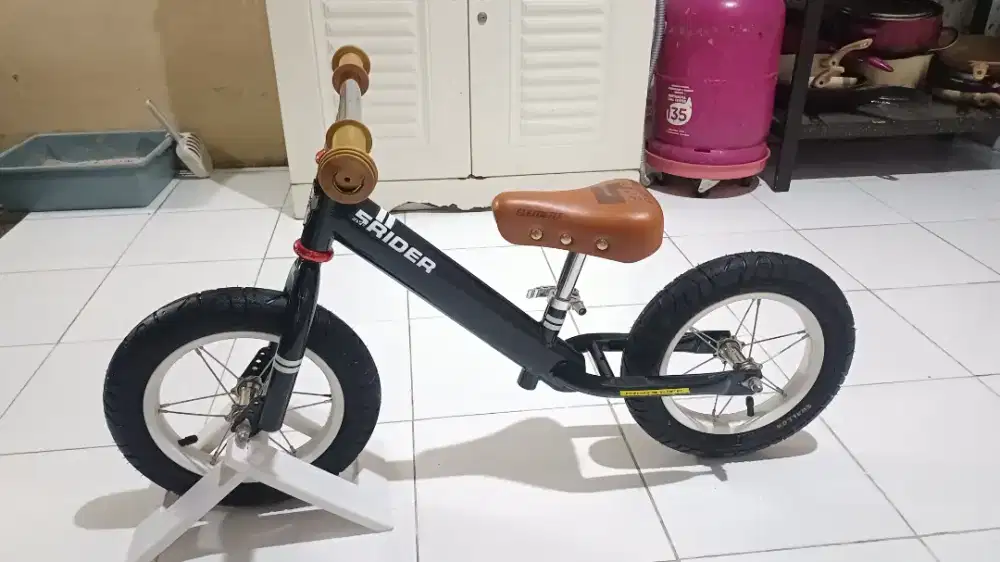 Push Bike 5Rider Element