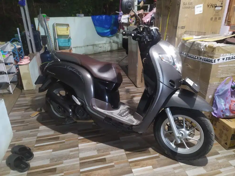 Scoopy stylis 2020