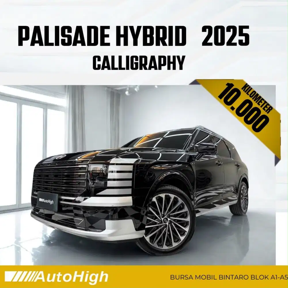 DP10% [Km10.000] Palisade Hybrid Calligraphy 2025 Reg 2026 #AUTOHIGH