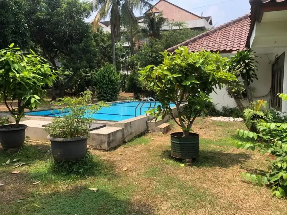 Rumah Megah HITUNG TANAH Belakang Cilandak Town Square Cilandak/J516