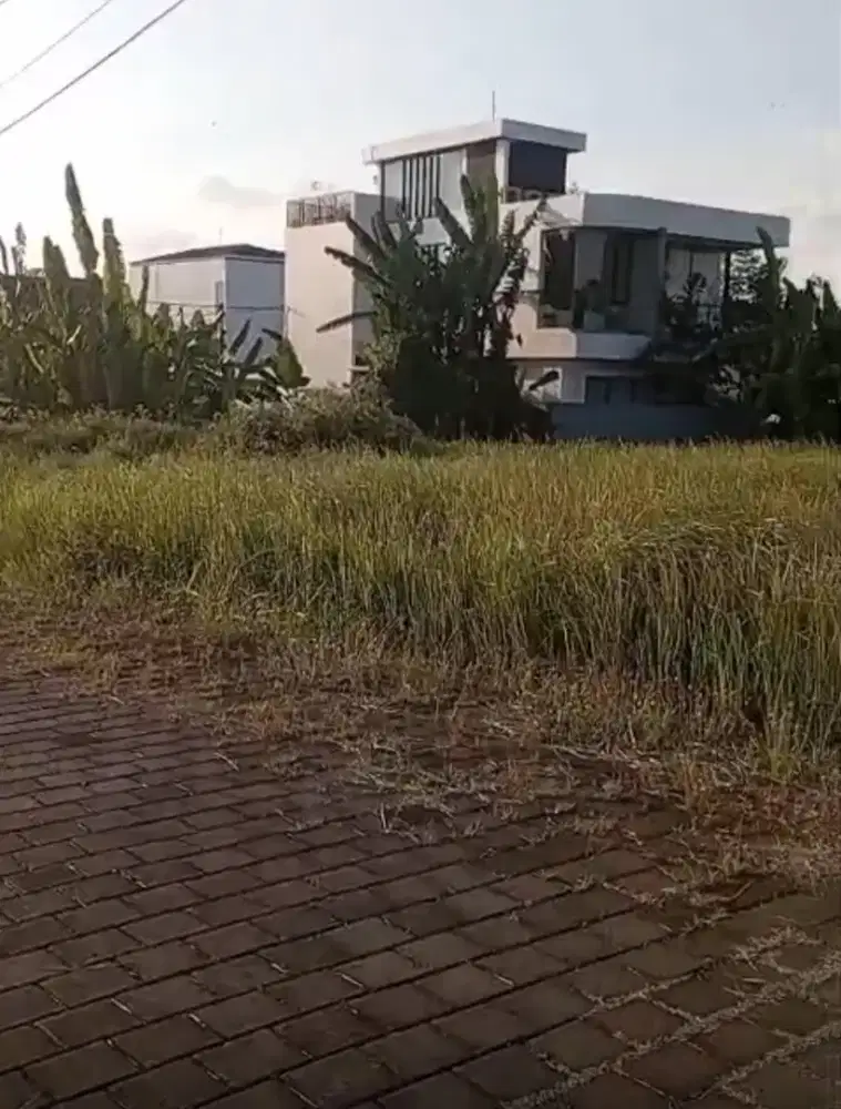 25mnit to Canggu Puri Damai Residence Villa