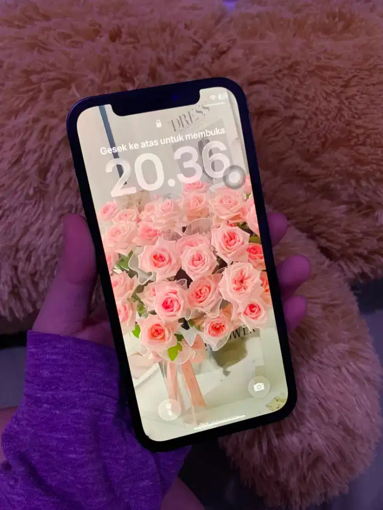iPhone 12 128gb ex inter