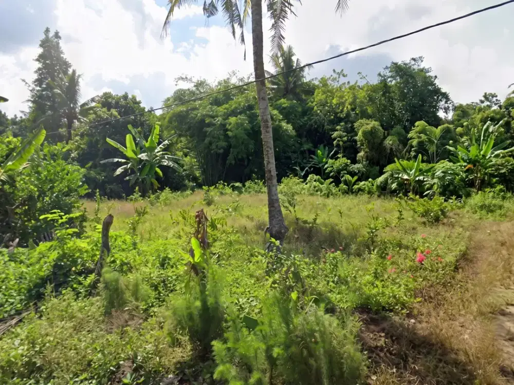 Rumah Modern Kulon Progo Dekat Bandara YIA Dan Pantai Glagah Area Temon