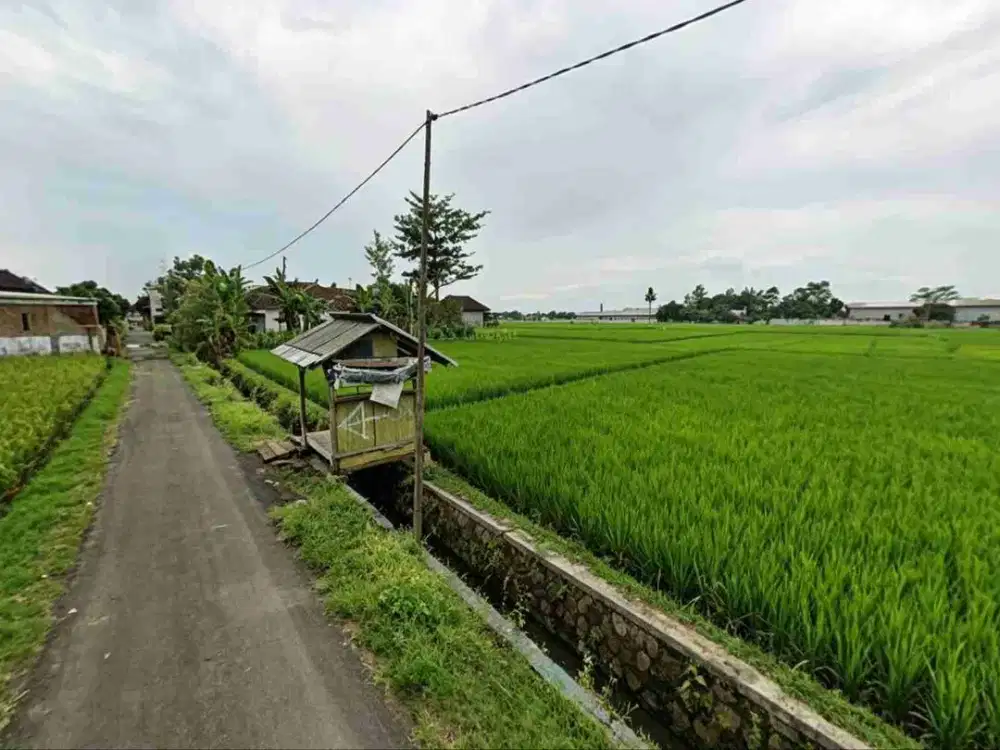 TANAH SAWAH TULAKAN PANGUNGREJO KEPANJEN KABUPATEN MALANG