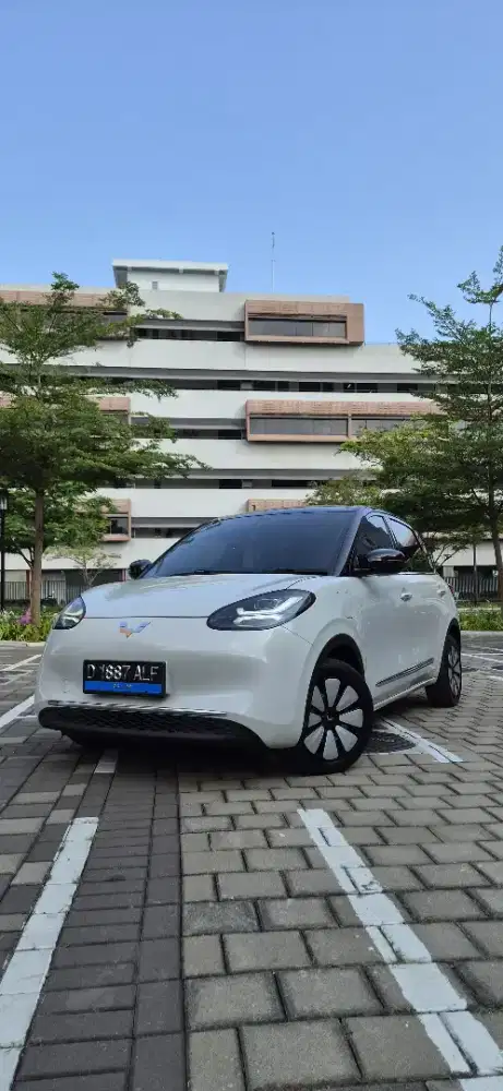 BINGOU EV PREMIUM RANGE KM 11RB