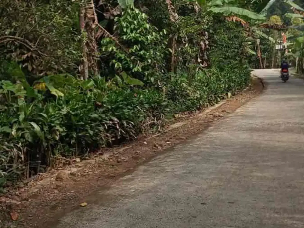 Di Jual Kebun Produktif,Kontur Rata