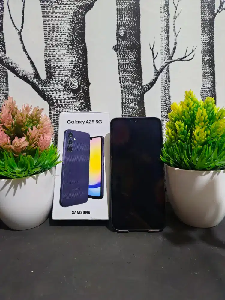 samsung a25 8/128