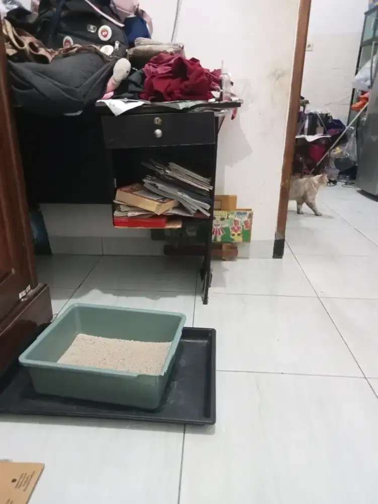 meja bekas hitam warnanya