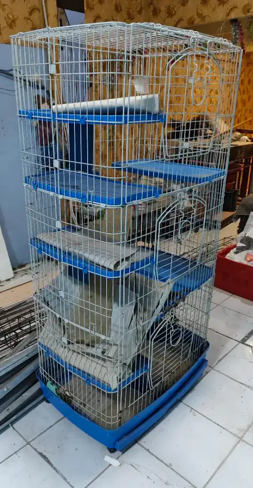Dijual bekas tmpt kucing