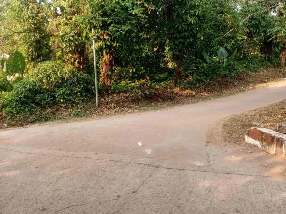 TANAH MURAH DAN STRATEGIS DI JALAN UTAMA DESA PABUARAN KEC GUNUNG SINDUR BOGOR