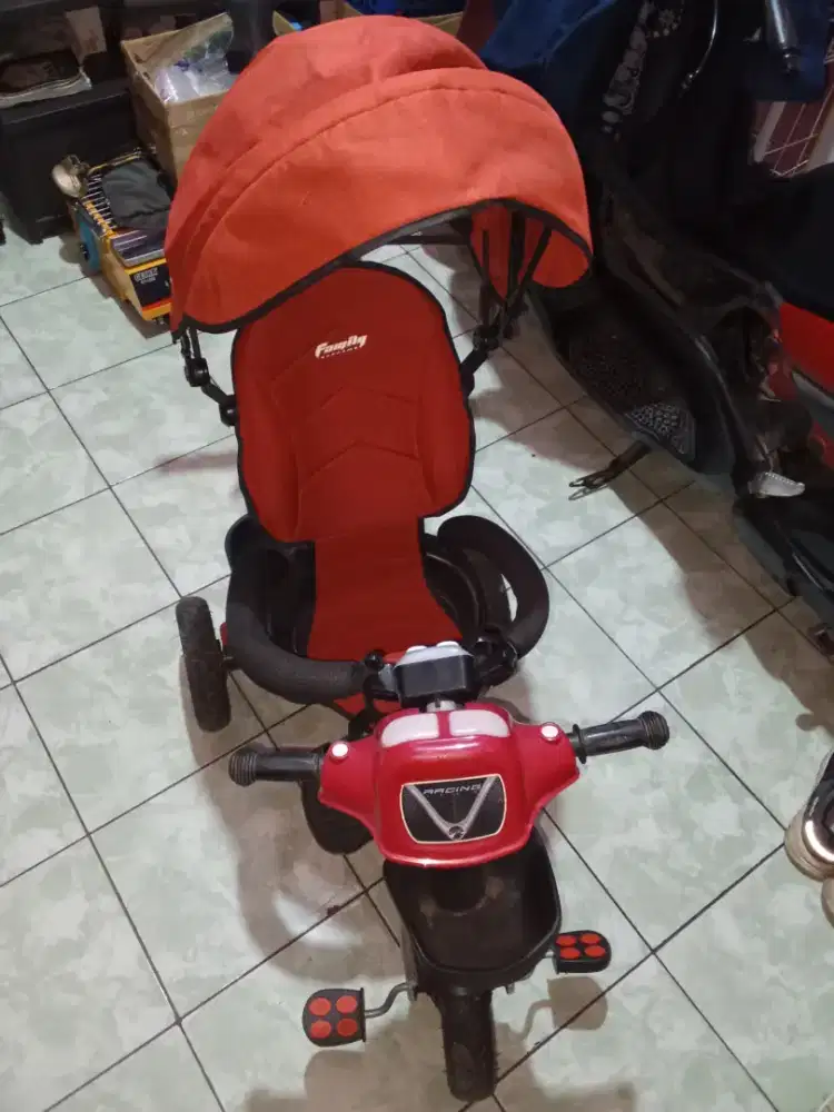 Jual sepeda anak family