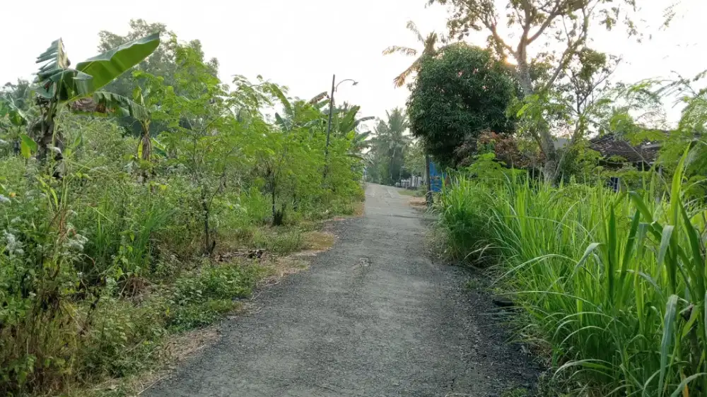 Jual tanah di Giripeni Wates Kp