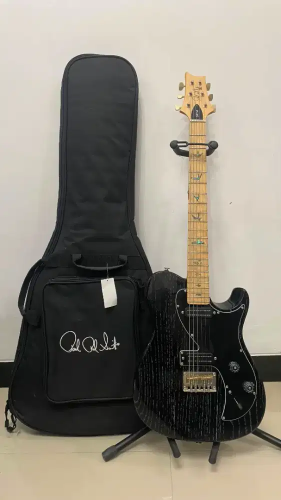 Gitar PRS NF53 Black Dog Hair