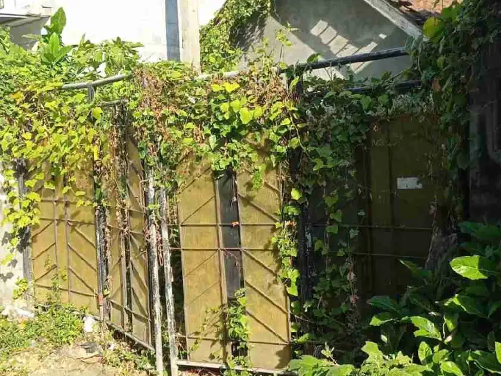 tanah badaksari dekat lapangan renon