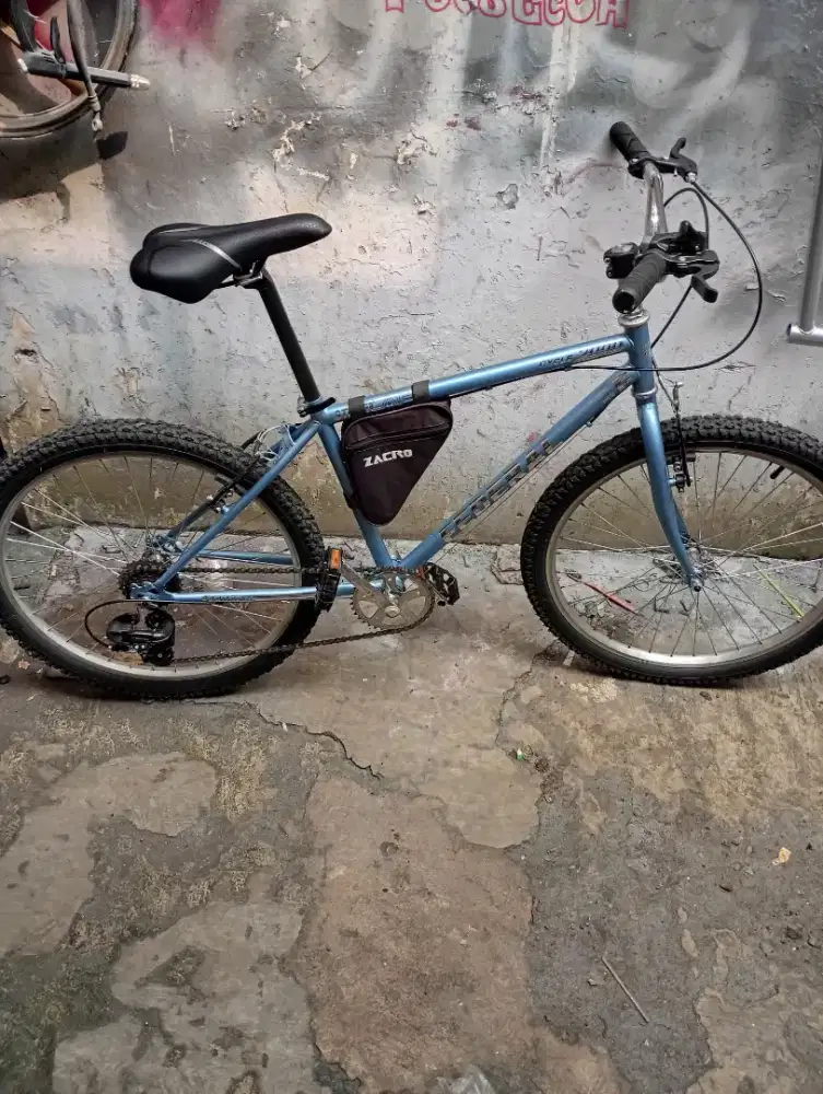 Sepeda kalcer custom