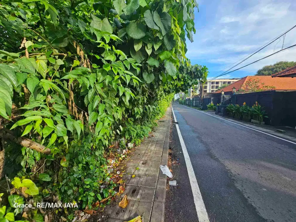 Tanah 75 Are untuk Bisnis Pariwisata di Area Kedonganan Jimbaran, jalan kaki ke Pantai