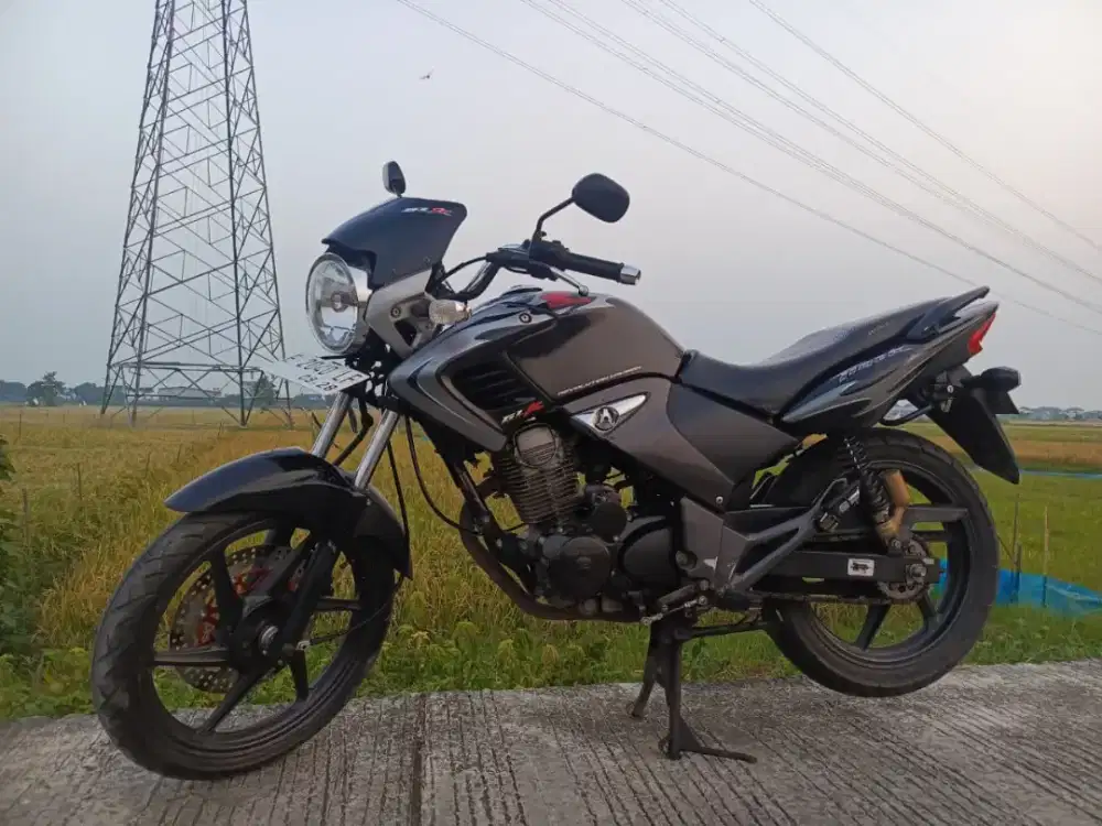 Tiger Revo originalan