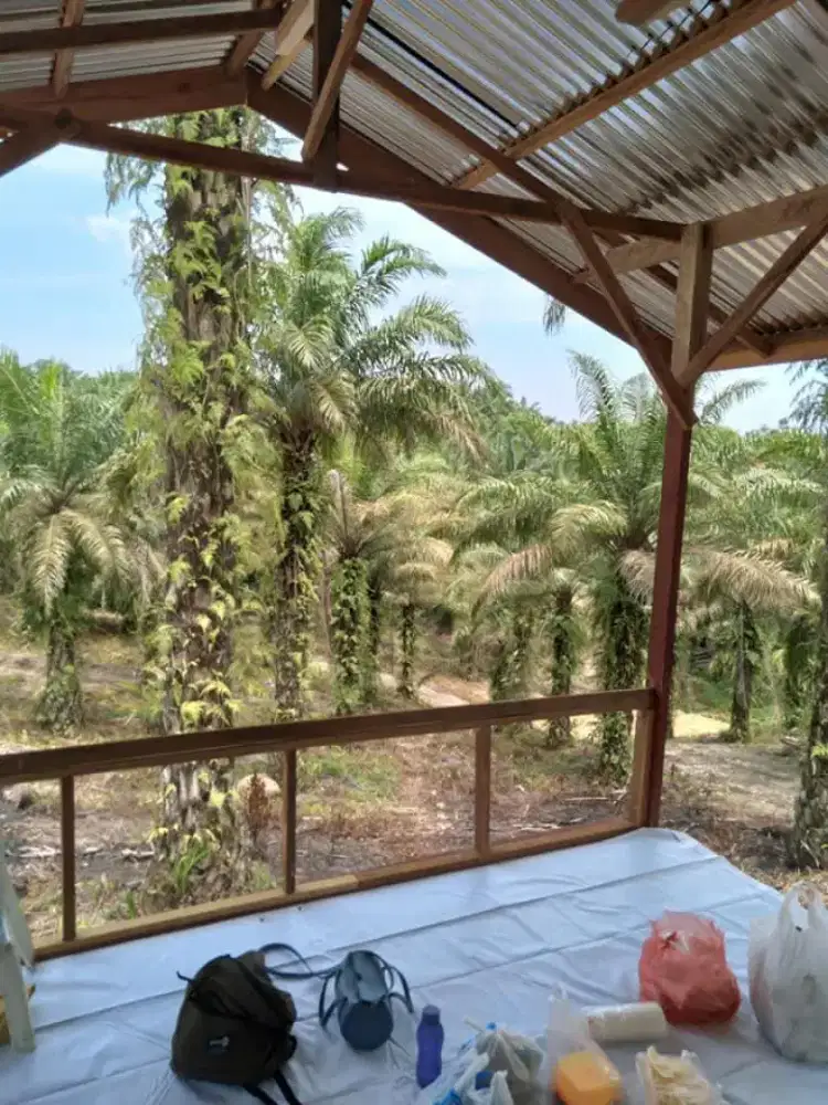 Dijual tanah di tenayan raya, Pekanbaru