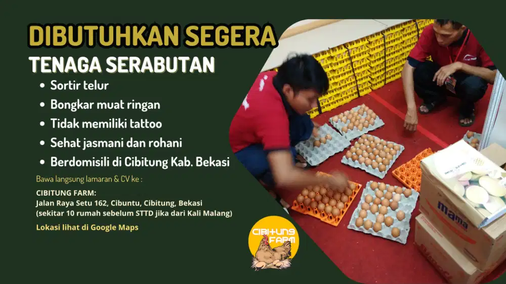 LOWONGAN TENAGA SERABUTAN