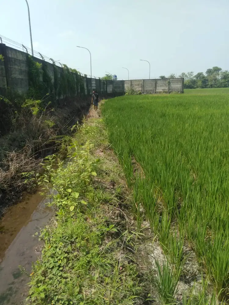 DIJUAL CEPAT SAWAH AKTIF + SHM 1080m² (Blk Gudang Indomarco Jogoroto)