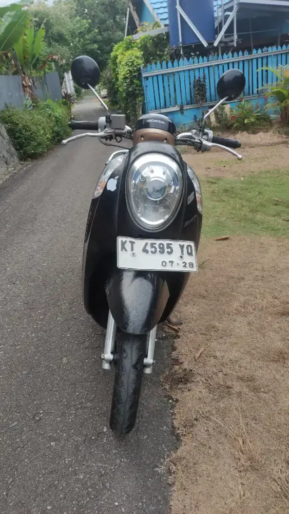 Honda Scoopy 2013