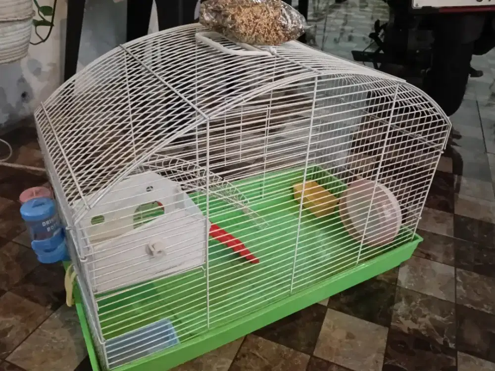 Kandang Hamster Siap Pakai