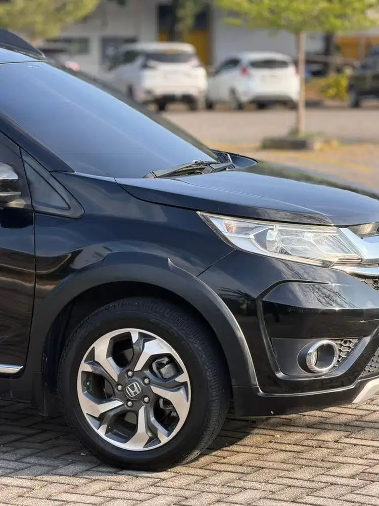 Brv e metic 2017