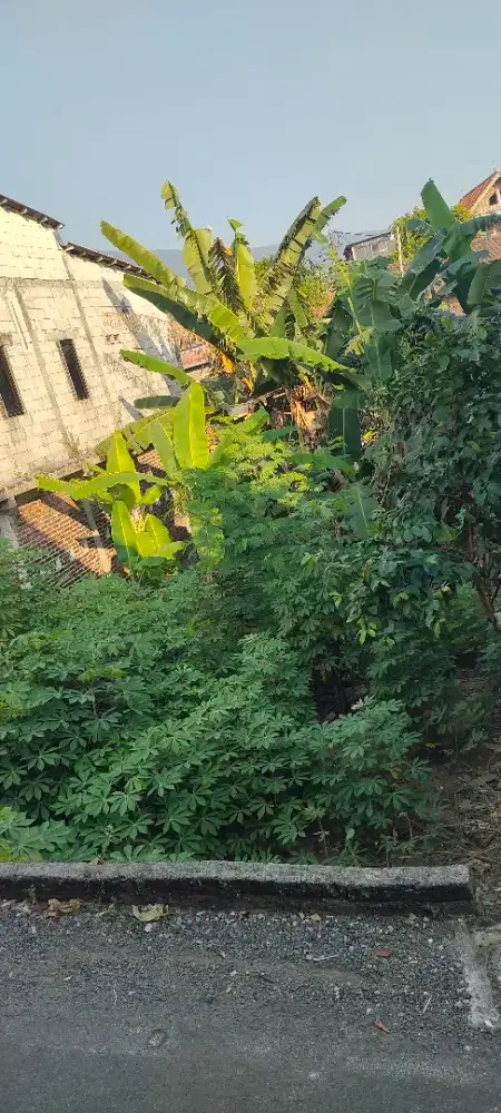 Tanah disewakan di Ungaran Timur