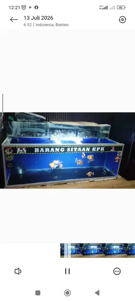 Aquarium 140x49x47 fulset tinggal colok dan isi
