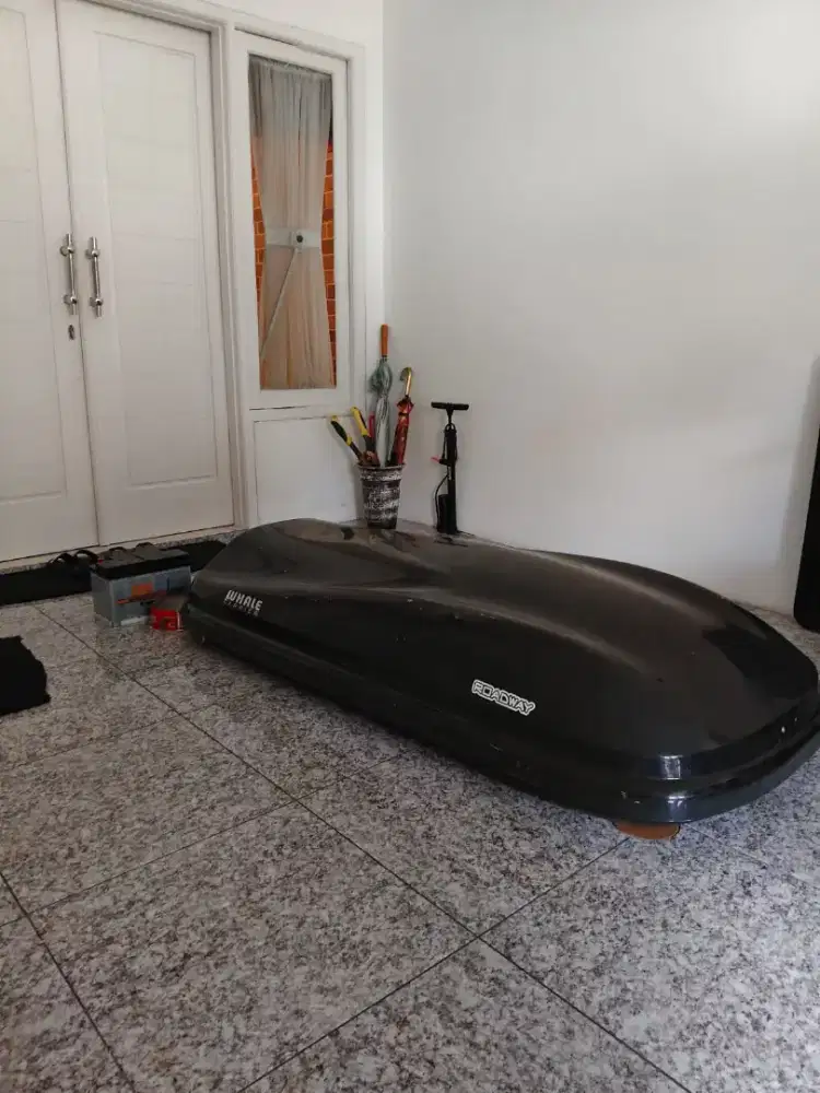 Roofbox whale original