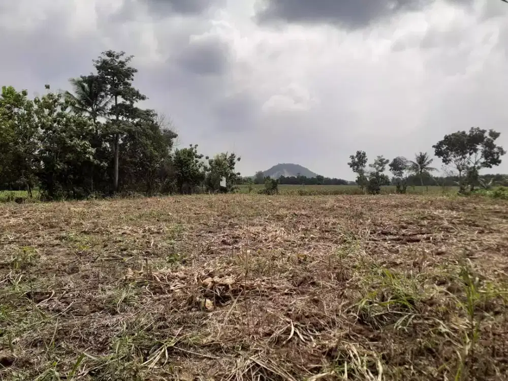 DIJUAL TANAH BRANTI, LAMPUNG SELATAN