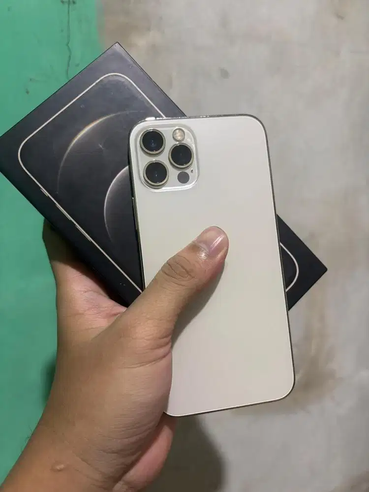 iPhone 12 Pro 256 GB Gold