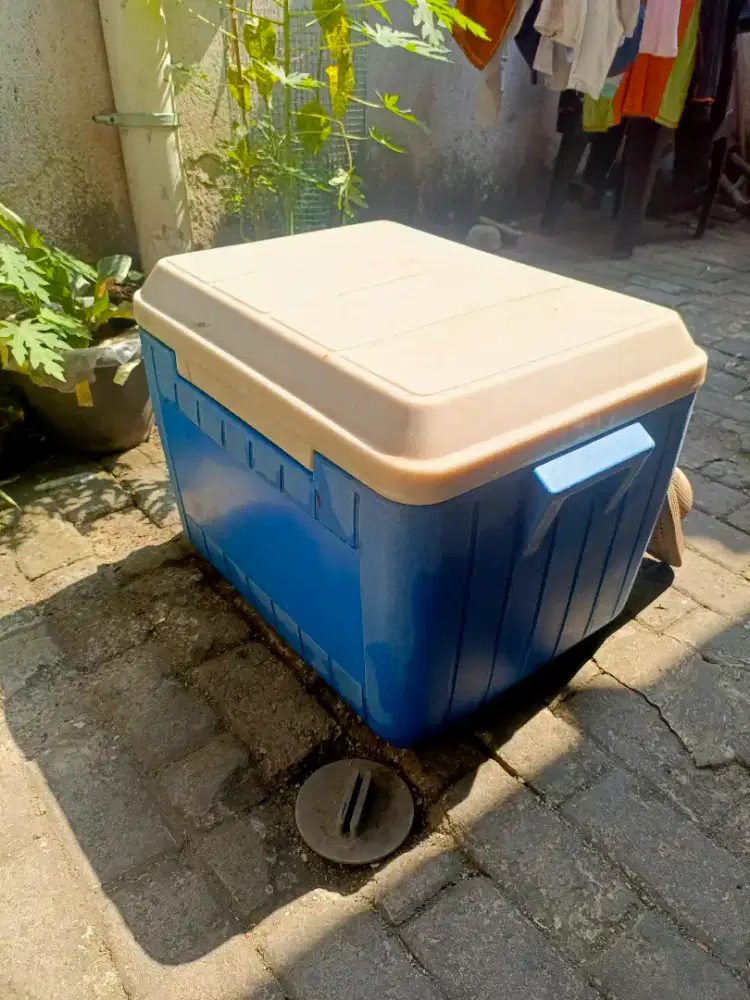 Ice Box Jumbo Mulus